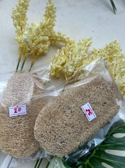 สครับใยบวบขนาดใหญ่ - Image 2